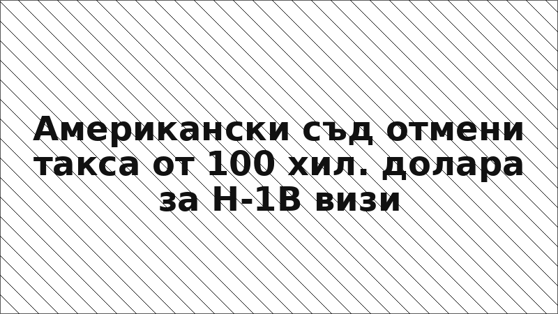Американски съд отмени такса от 100 хил. долара за H-1B визи