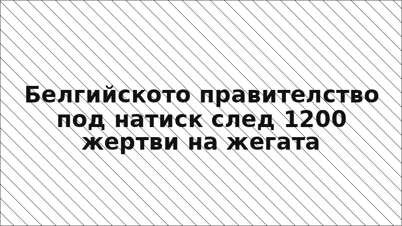 Белгийското правителство под натиск след 1200 жертви на жегата