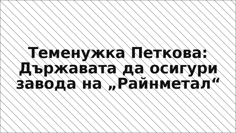 Теменужка Петкова: Държавата да осигури завода на „Райнметал“