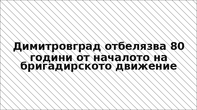 Димитровград отбелязва 80 години от началото на бригадирското движение