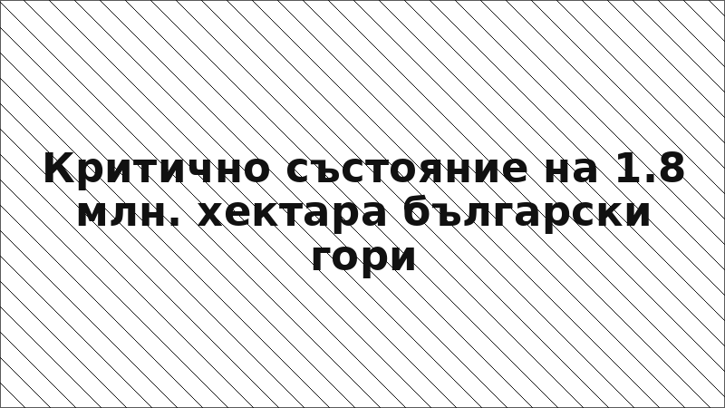 Критично състояние на 1.8 млн. хектара български гори