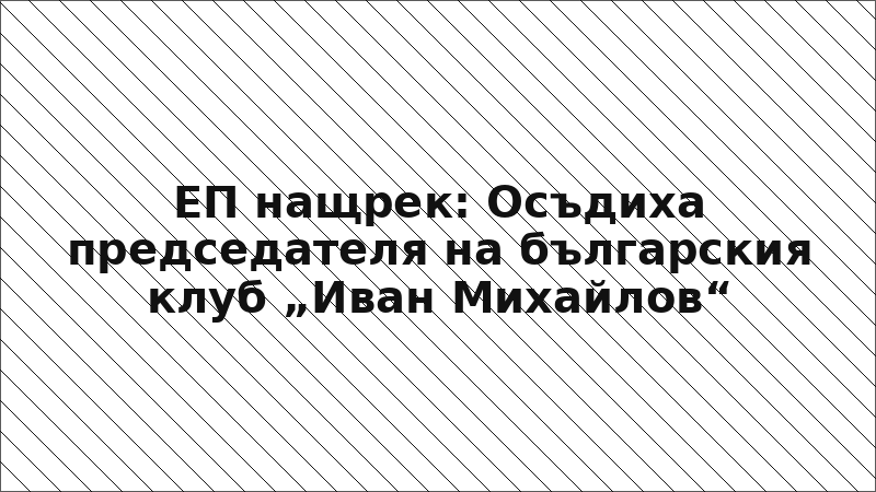 ЕП нащрек: Осъдиха председателя на българския клуб „Иван Михайлов“