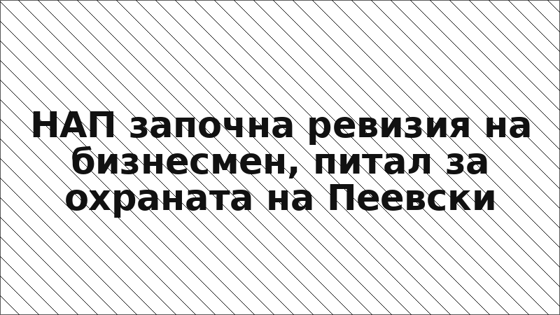 НАП започна ревизия на бизнесмен, питал за охраната на Пеевски