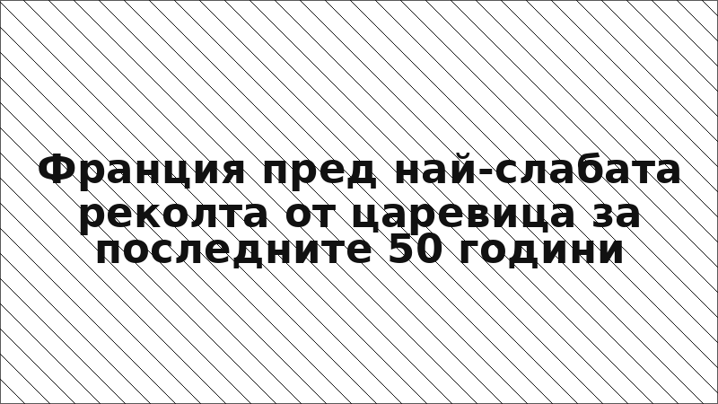 Франция пред най-слабата реколта от царевица за последните 50 години