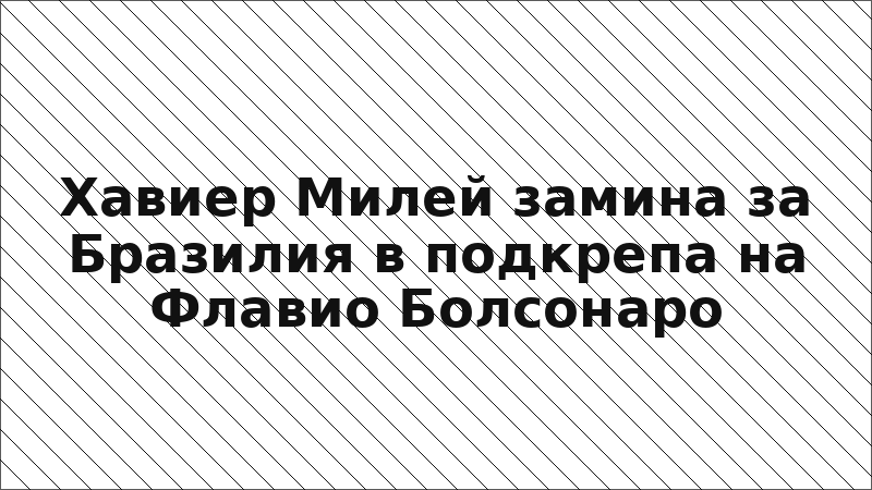 Хавиер Милей замина за Бразилия в подкрепа на Флавио Болсонаро