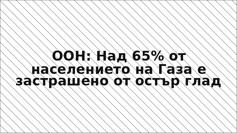 ООН: Над 65% от населението на Газа е застрашено от остър глад