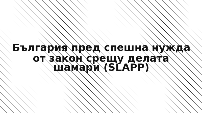 България пред спешна нужда от закон срещу делата шамари (SLAPP)