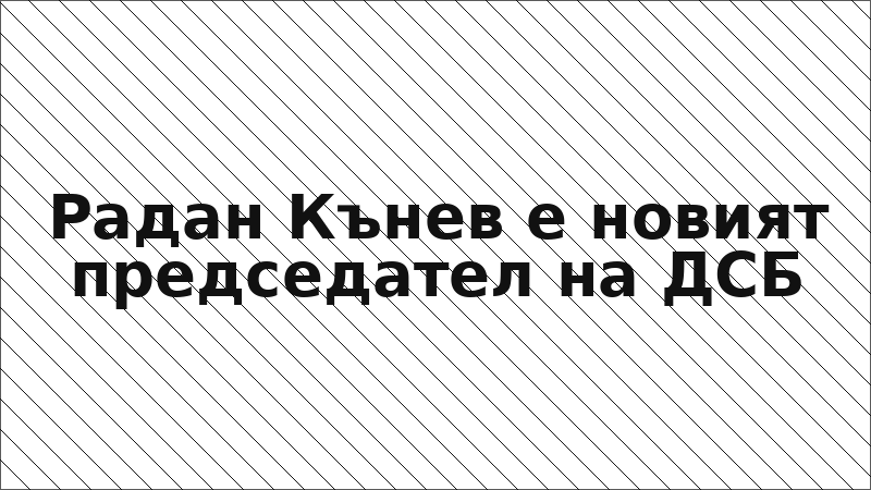 Радан Кънев е новият председател на ДСБ