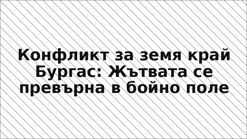 Конфликт за земя край Бургас: Жътвата се превърна в бойно поле
