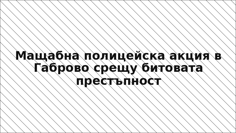 Мащабна полицейска акция в Габрово срещу битовата престъпност
