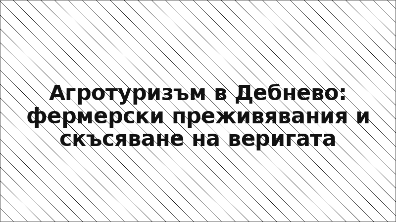 Агротуризъм в Дебнево: фермерски преживявания и скъсяване на веригата