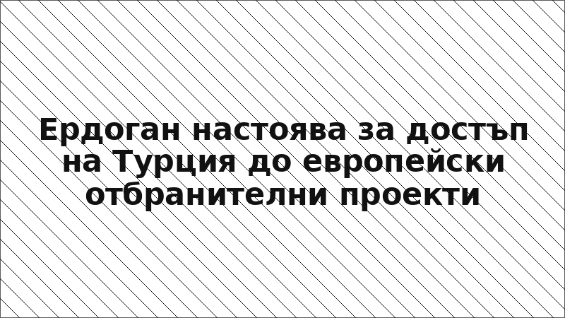 Ердоган настоява за достъп на Турция до европейски отбранителни проекти