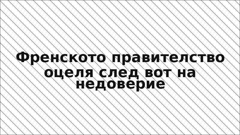 Френското правителство оцеля след вот на недоверие