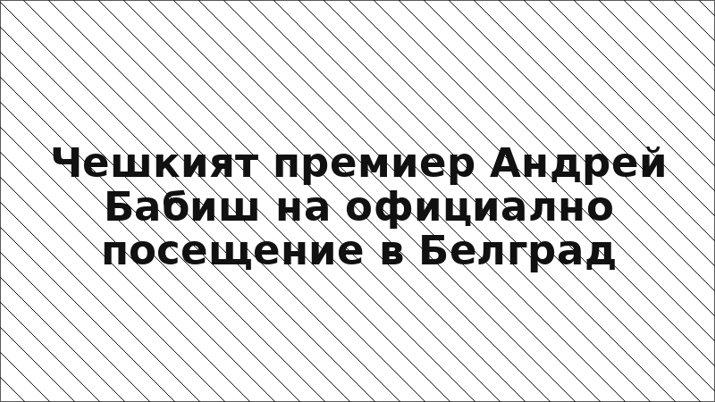 Чешкият премиер Андрей Бабиш на официално посещение в Белград