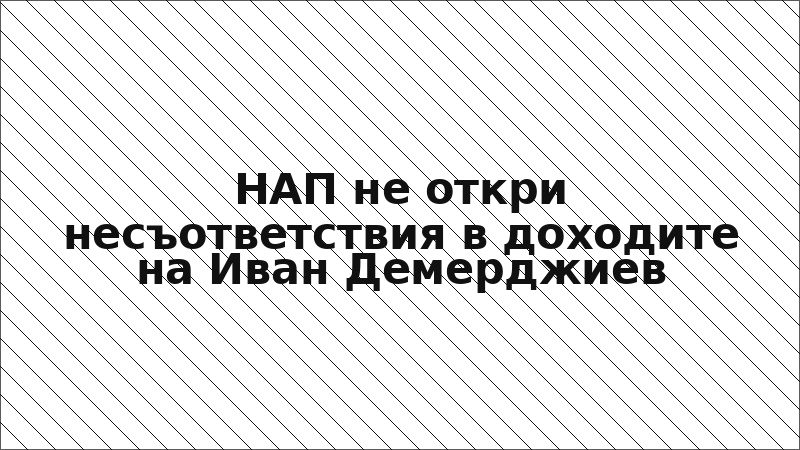 НАП не откри несъответствия в доходите на Иван Демерджиев