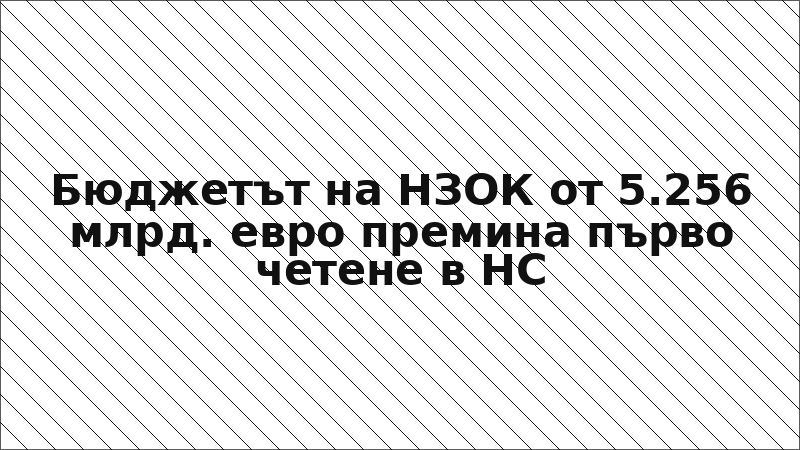 Бюджетът на НЗОК от 5.256 млрд. евро премина първо четене в НС
