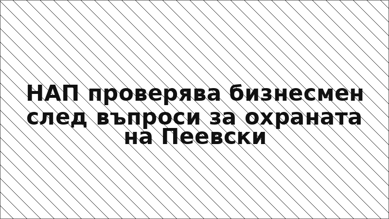 НАП проверява бизнесмен след въпроси за охраната на Пеевски