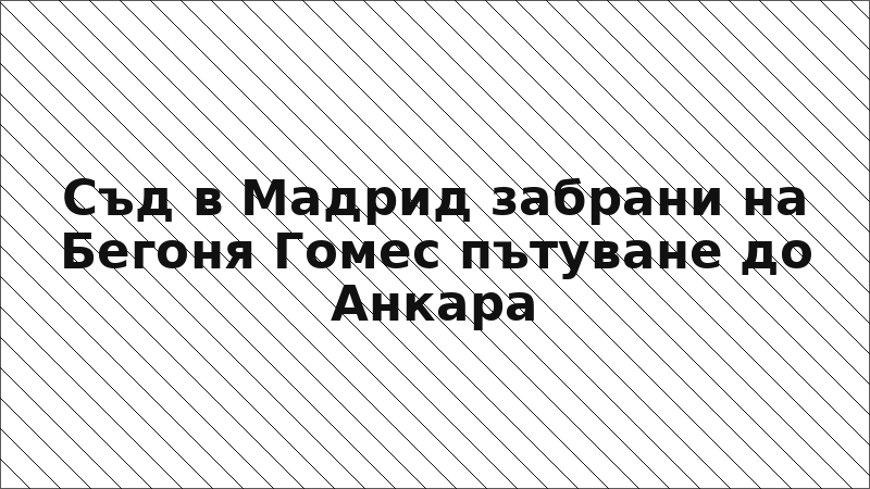 Съд в Мадрид забрани на Бегоня Гомес пътуване до Анкара