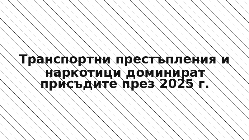 Транспортни престъпления и наркотици доминират присъдите през 2025 г.