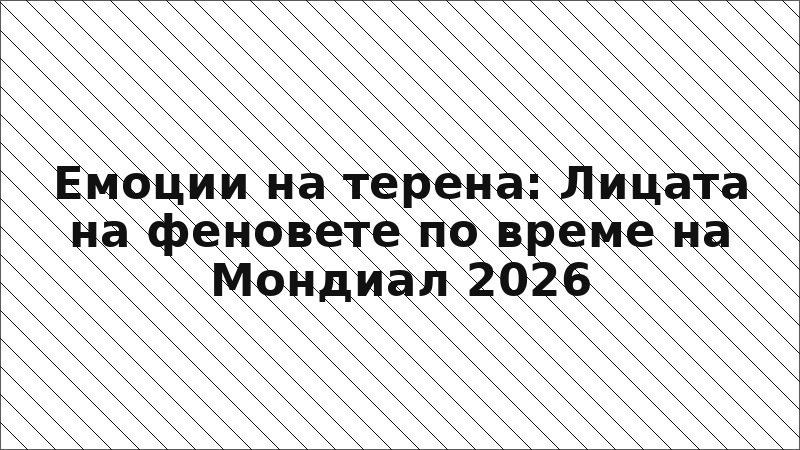 Емоции на терена: Лицата на феновете по време на Мондиал 2026