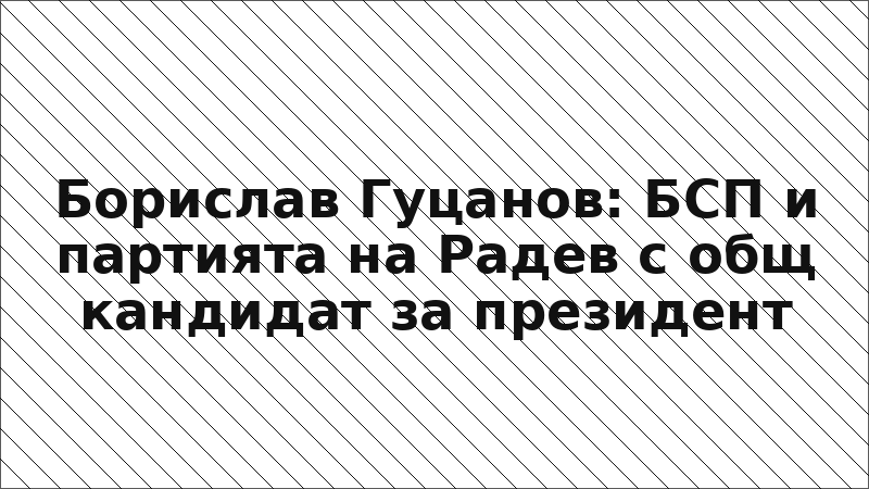 Борислав Гуцанов: БСП и партията на Радев с общ кандидат за президент