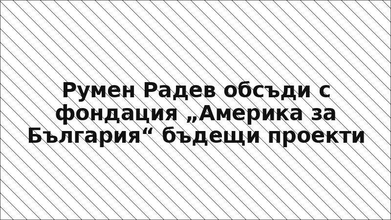 Румен Радев обсъди с фондация „Америка за България“ бъдещи проекти