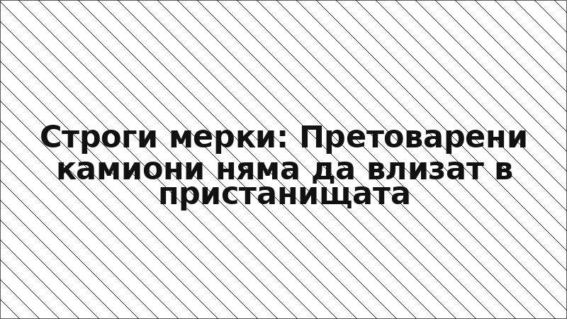 Строги мерки: Претоварени камиони няма да влизат в пристанищата