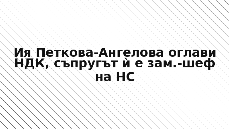 Ия Петкова-Ангелова оглави НДК, съпругът ѝ е зам.-шеф на НС