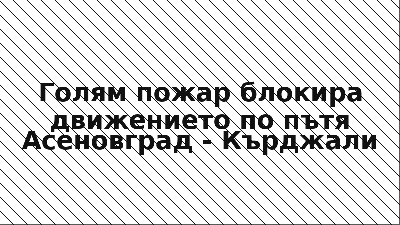 Голям пожар блокира движението по пътя Асеновград - Кърджали