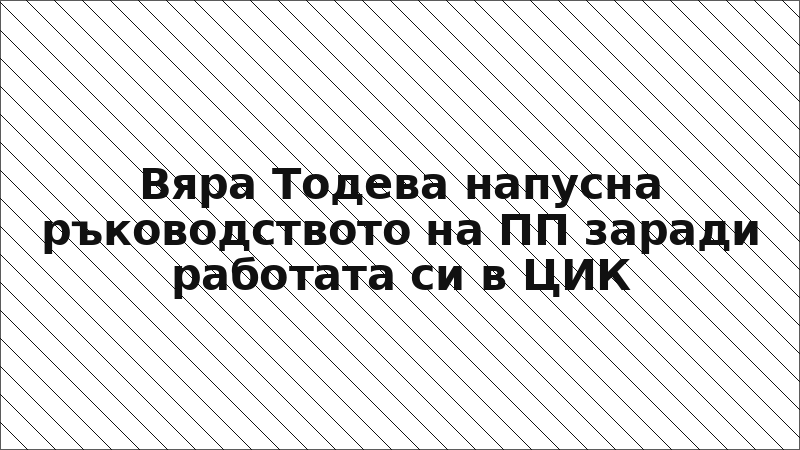 Вяра Тодева напусна ръководството на ПП заради работата си в ЦИК