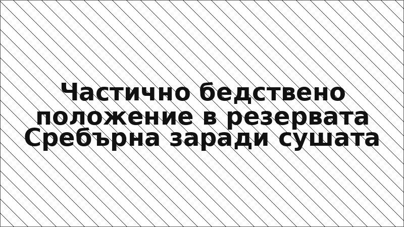 Частично бедствено положение в резервата Сребърна заради сушата