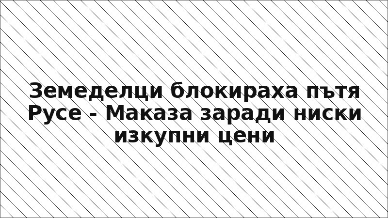 Земеделци блокираха пътя Русе - Маказа заради ниски изкупни цени