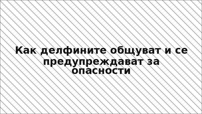 Как делфините общуват и се предупреждават за опасности