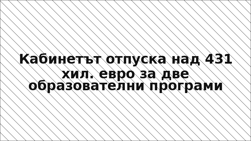 Кабинетът отпуска над 431 хил. евро за две образователни програми