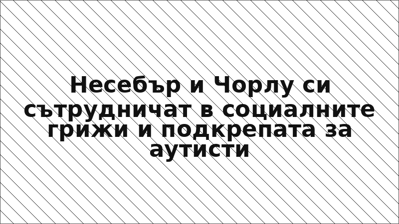 Несебър и Чорлу си сътрудничат в социалните грижи и подкрепата за аутисти
