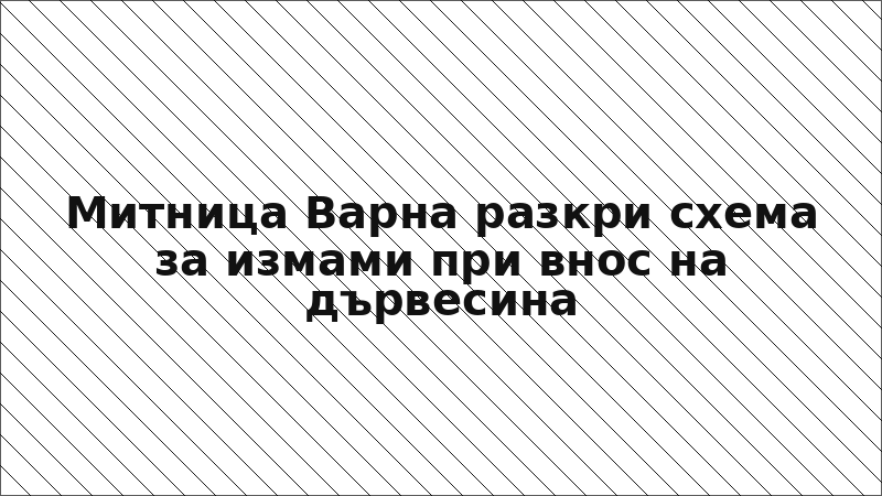 Митница Варна разкри схема за измами при внос на дървесина