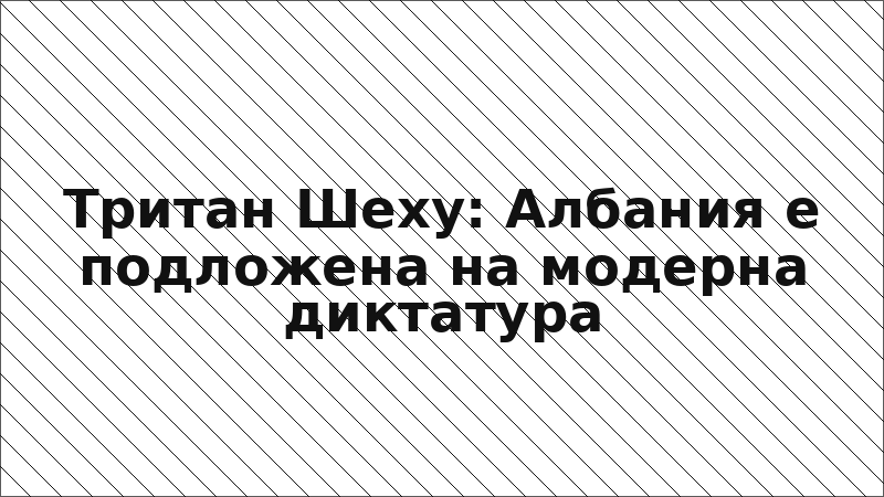 Тритан Шеху: Албания е подложена на модерна диктатура