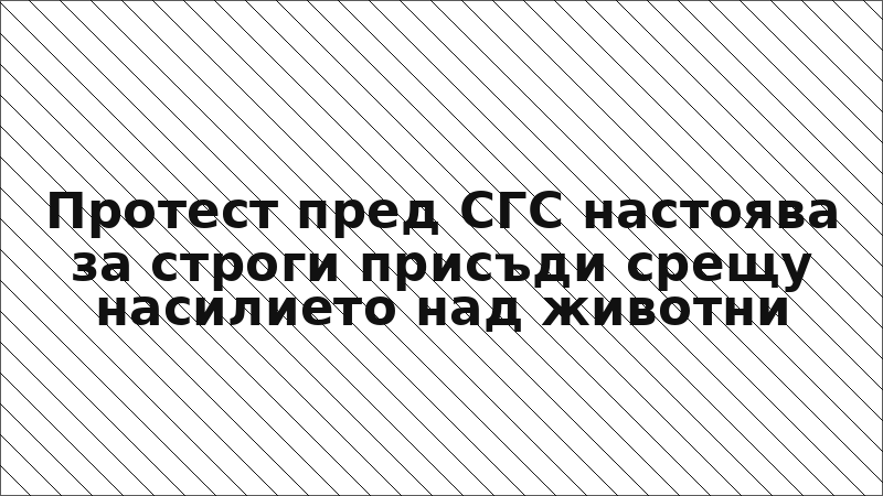 Протест пред СГС настоява за строги присъди срещу насилието над животни