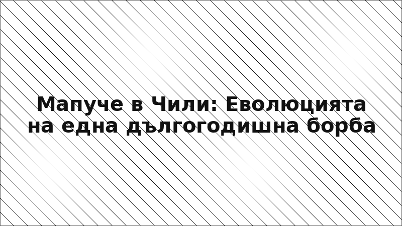 Мапуче в Чили: Еволюцията на една дългогодишна борба