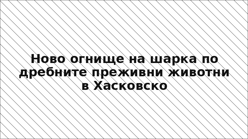 Ново огнище на шарка по дребните преживни животни в Хасковско