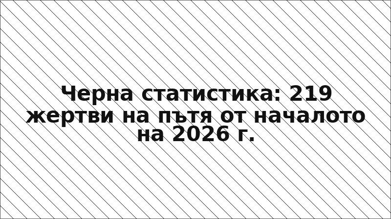 Черна статистика: 219 жертви на пътя от началото на 2026 г.