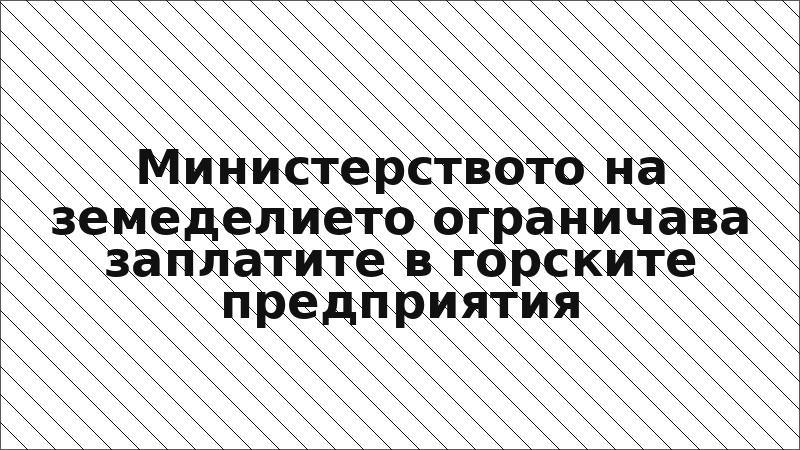 Министерството на земеделието ограничава заплатите в горските предприятия