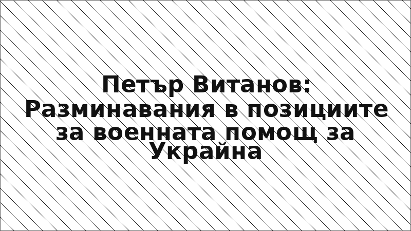Петър Витанов: Разминавания в позициите за военната помощ за Украйна