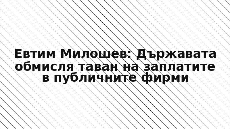 Евтим Милошев: Държавата обмисля таван на заплатите в публичните фирми