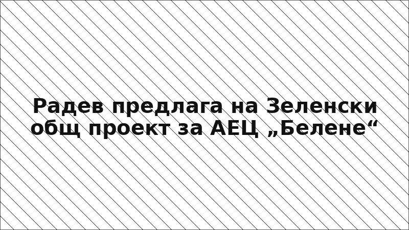 Радев предлага на Зеленски общ проект за АЕЦ „Белене“