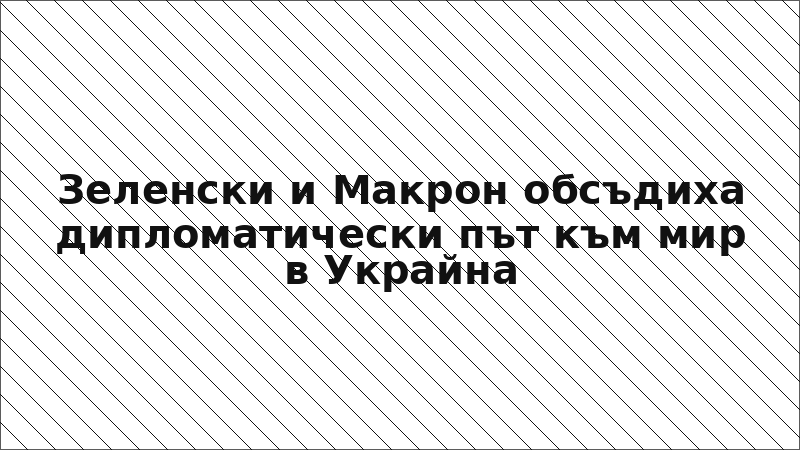 Зеленски и Макрон обсъдиха дипломатически път към мир в Украйна