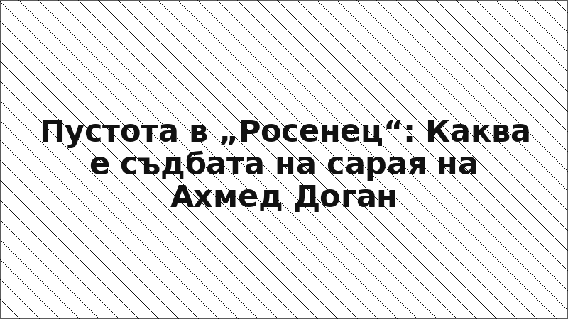 Пустота в „Росенец“: Каква е съдбата на сарая на Ахмед Доган