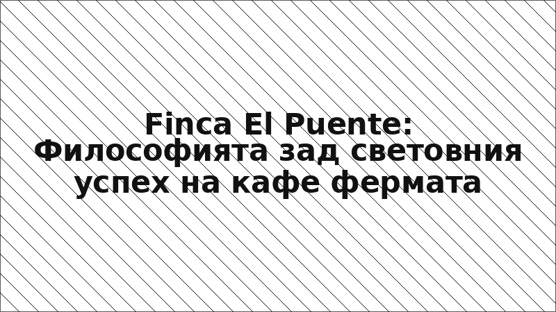 Finca El Puente: Философията зад световния успех на кафе фермата