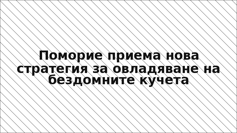 Поморие приема нова стратегия за овладяване на бездомните кучета
