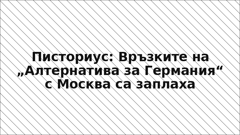 Писториус: Връзките на „Алтернатива за Германия“ с Москва са заплаха